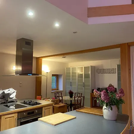 Les Hauts De La Piquante Pierre Σπίτι διακοπών Basse-sur-le-Rupt