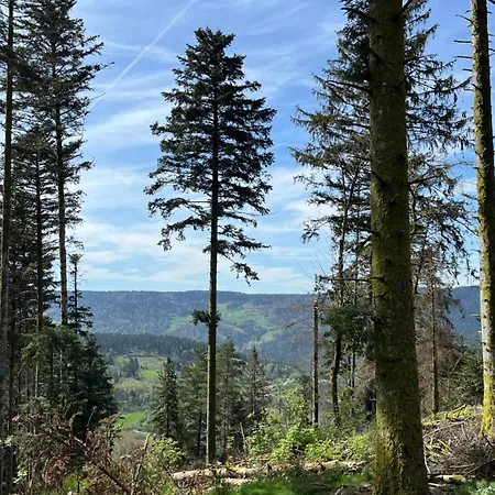 Les Hauts De La Piquante Pierre * Basse-sur-le-Rupt