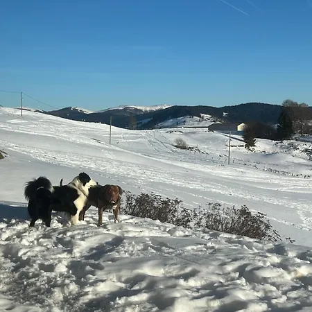 Les Hauts De La Piquante Pierre Basse-sur-le-Rupt