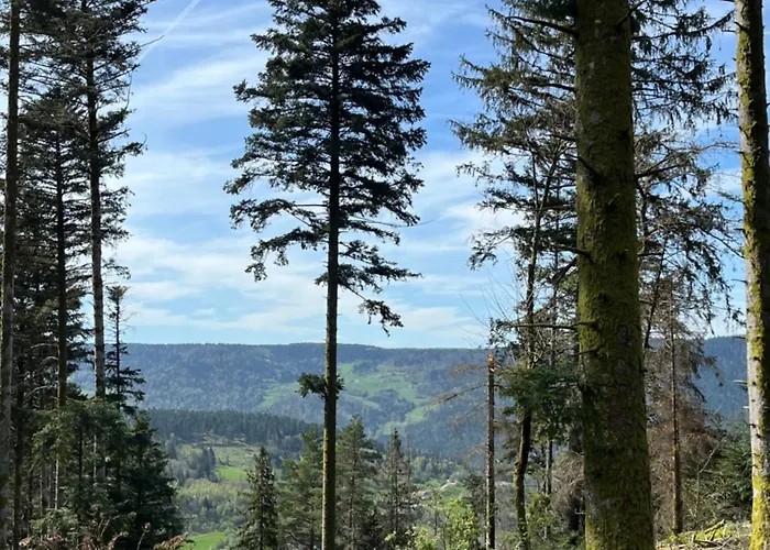 Les Hauts De La Piquante Pierre * Basse-sur-le-Rupt